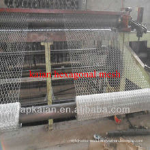 hexagonal wire mesh panel